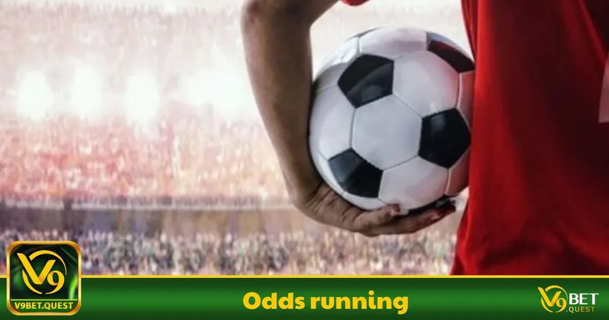 Odds Running Là Gì? Cách Hoạt Động Và Ý Nghĩa Của Nó