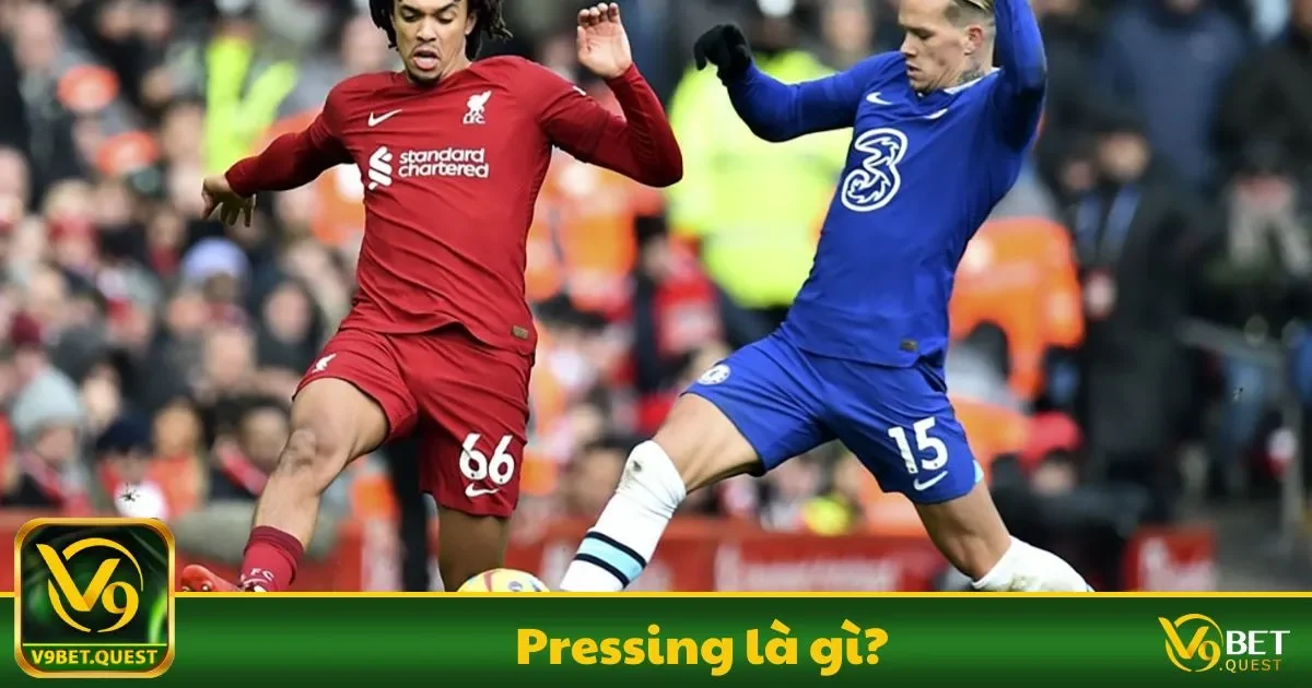 Pressing Là Gì? Những Điều Cơ Bản Cần Biết